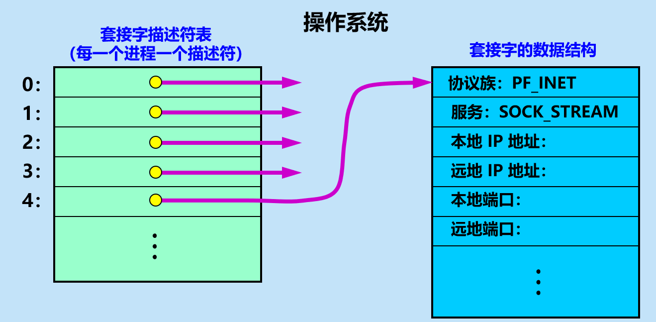 image-20210409145449361